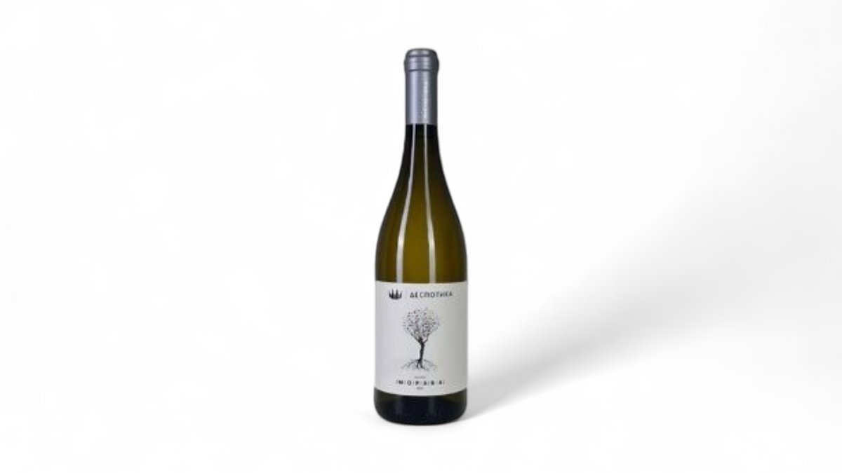 6871301c888d85cb9c928bc7 Despotika Morava 0,75L - Slika 1